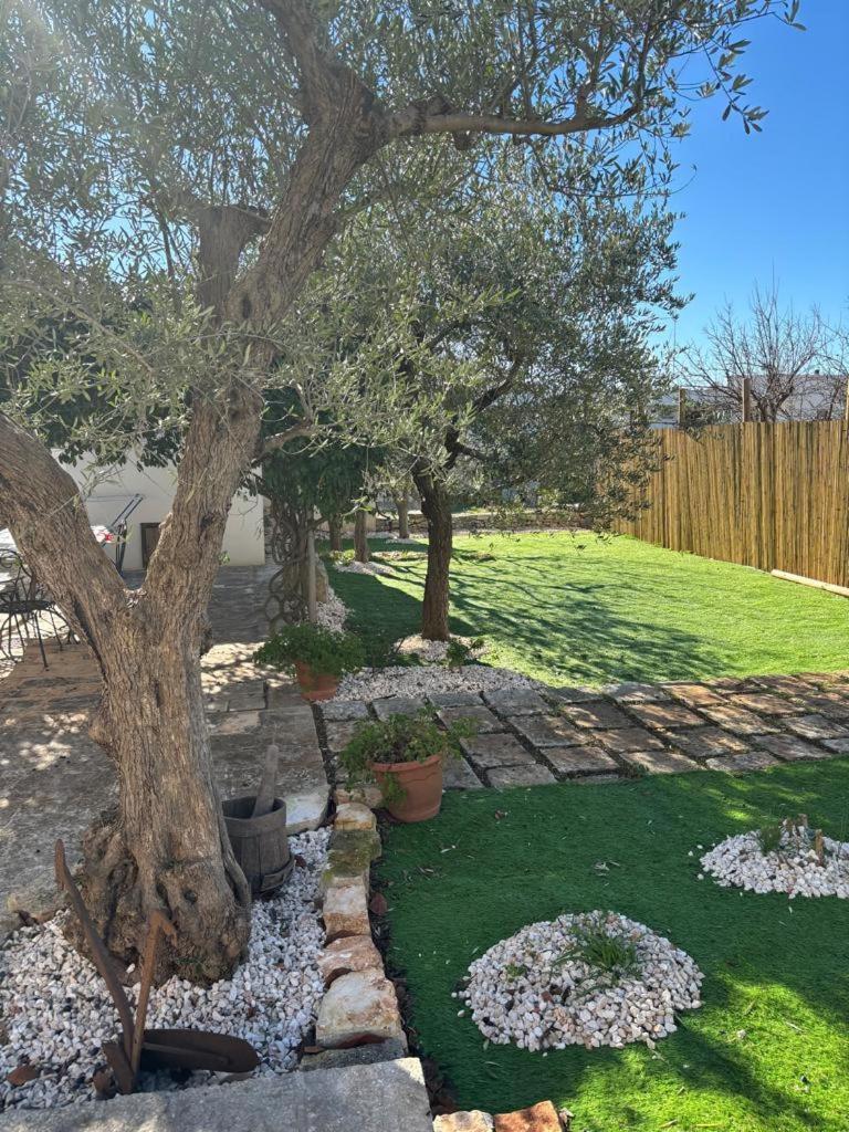 Trullo Vacanza Αλμπερομπέλο Εξωτερικό φωτογραφία
