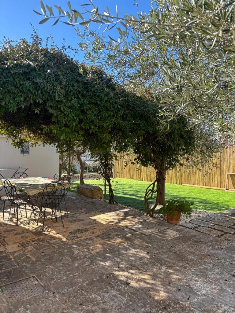 Trullo Vacanza Αλμπερομπέλο Εξωτερικό φωτογραφία