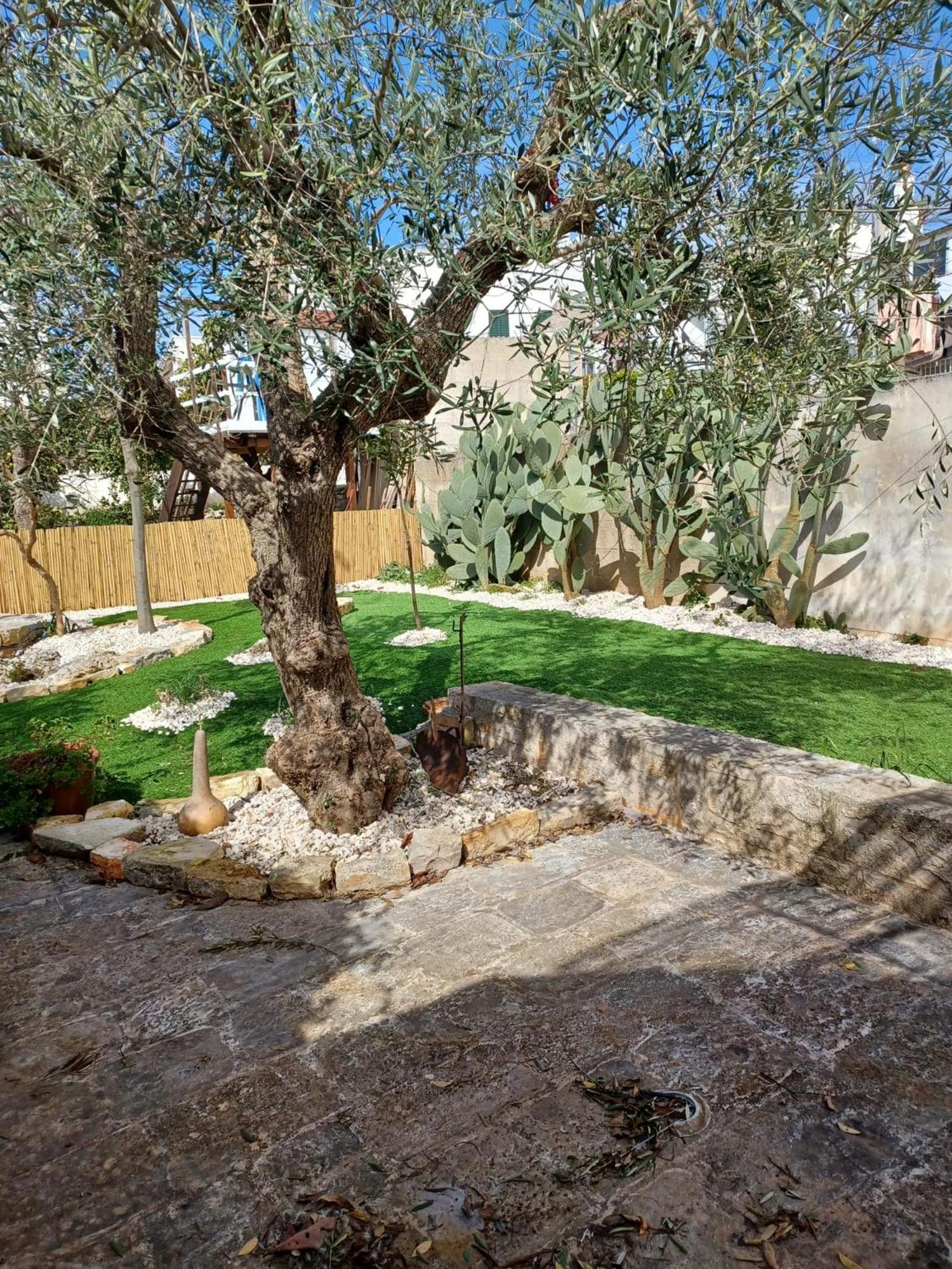 Trullo Vacanza Αλμπερομπέλο Εξωτερικό φωτογραφία