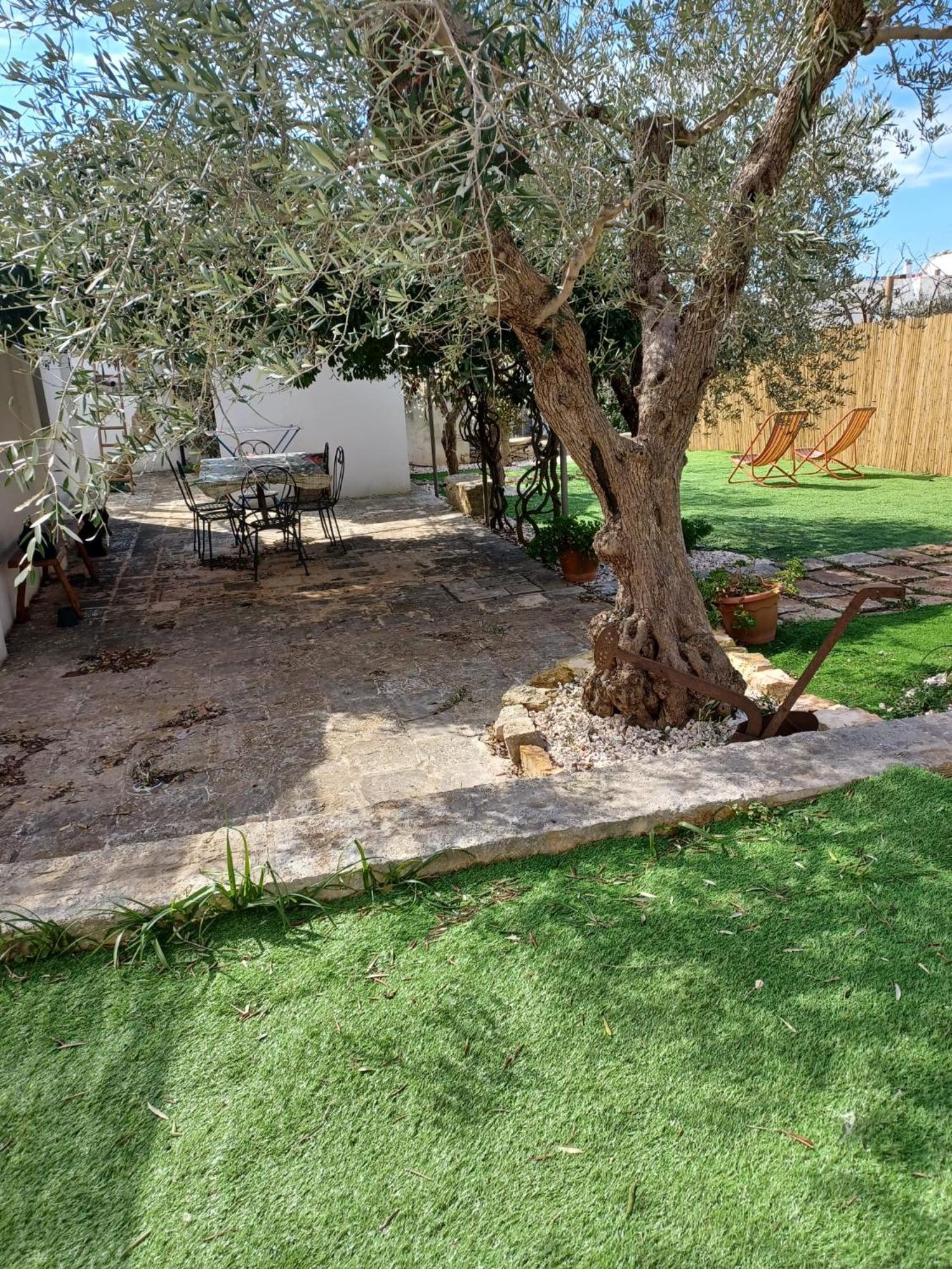 Trullo Vacanza Αλμπερομπέλο Εξωτερικό φωτογραφία