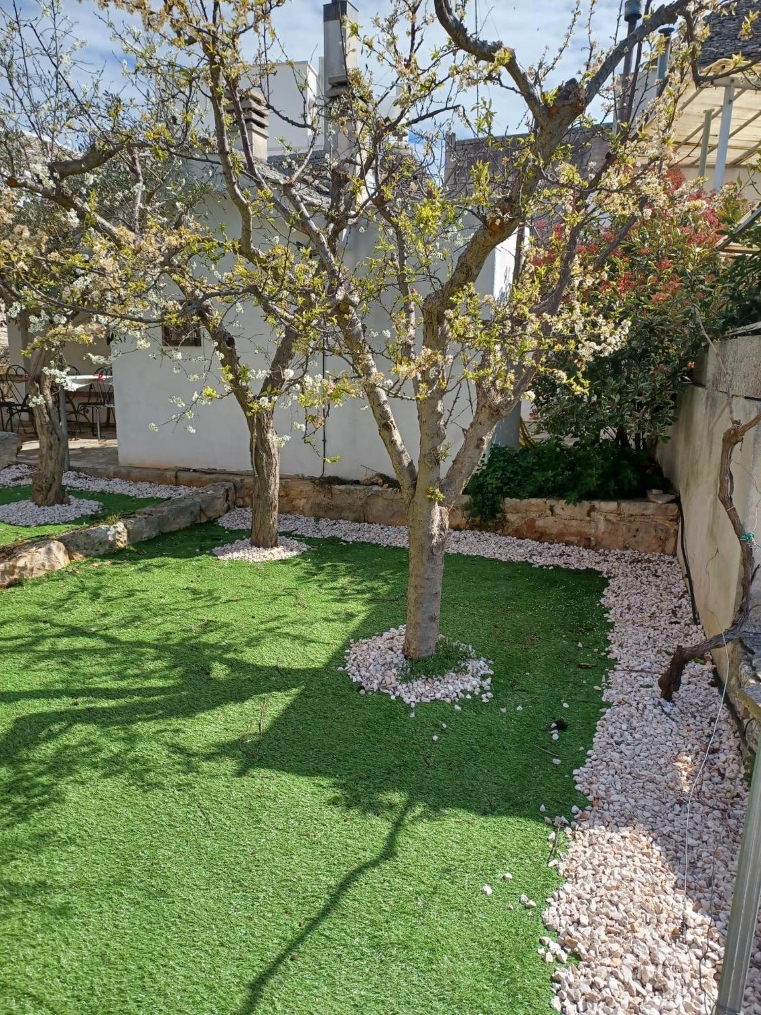 Trullo Vacanza Αλμπερομπέλο Εξωτερικό φωτογραφία