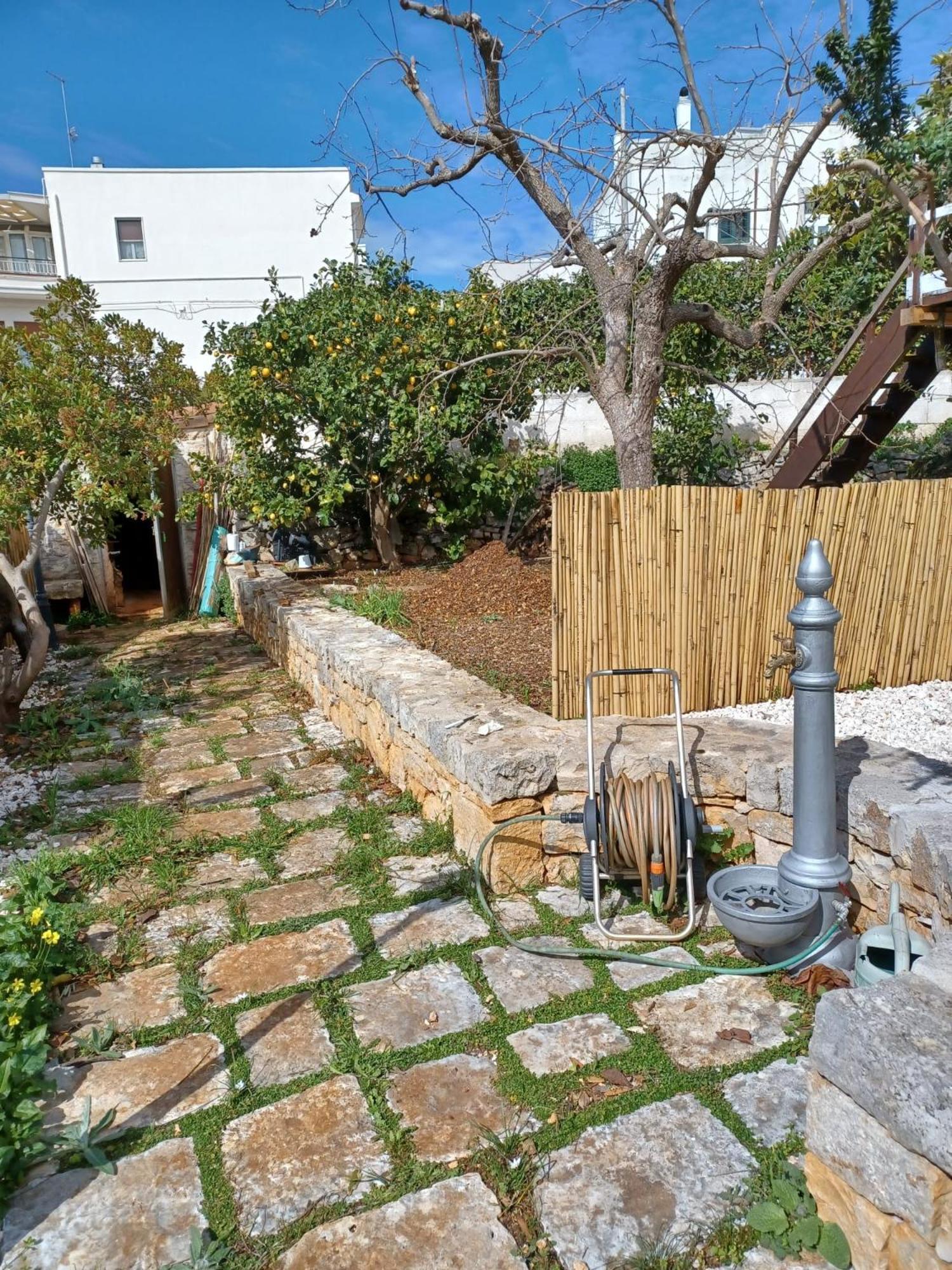 Trullo Vacanza Αλμπερομπέλο Εξωτερικό φωτογραφία