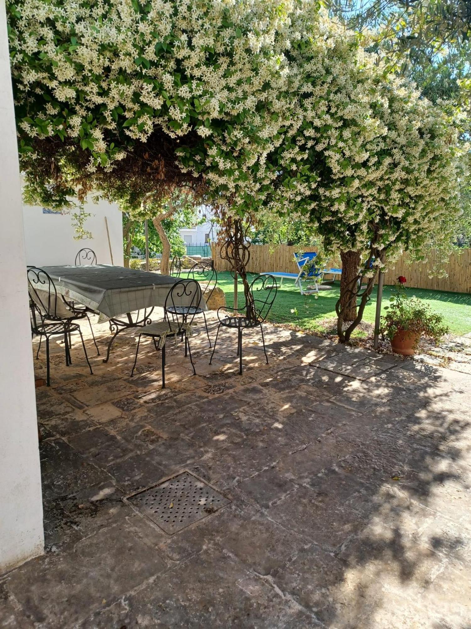 Trullo Vacanza Αλμπερομπέλο Εξωτερικό φωτογραφία