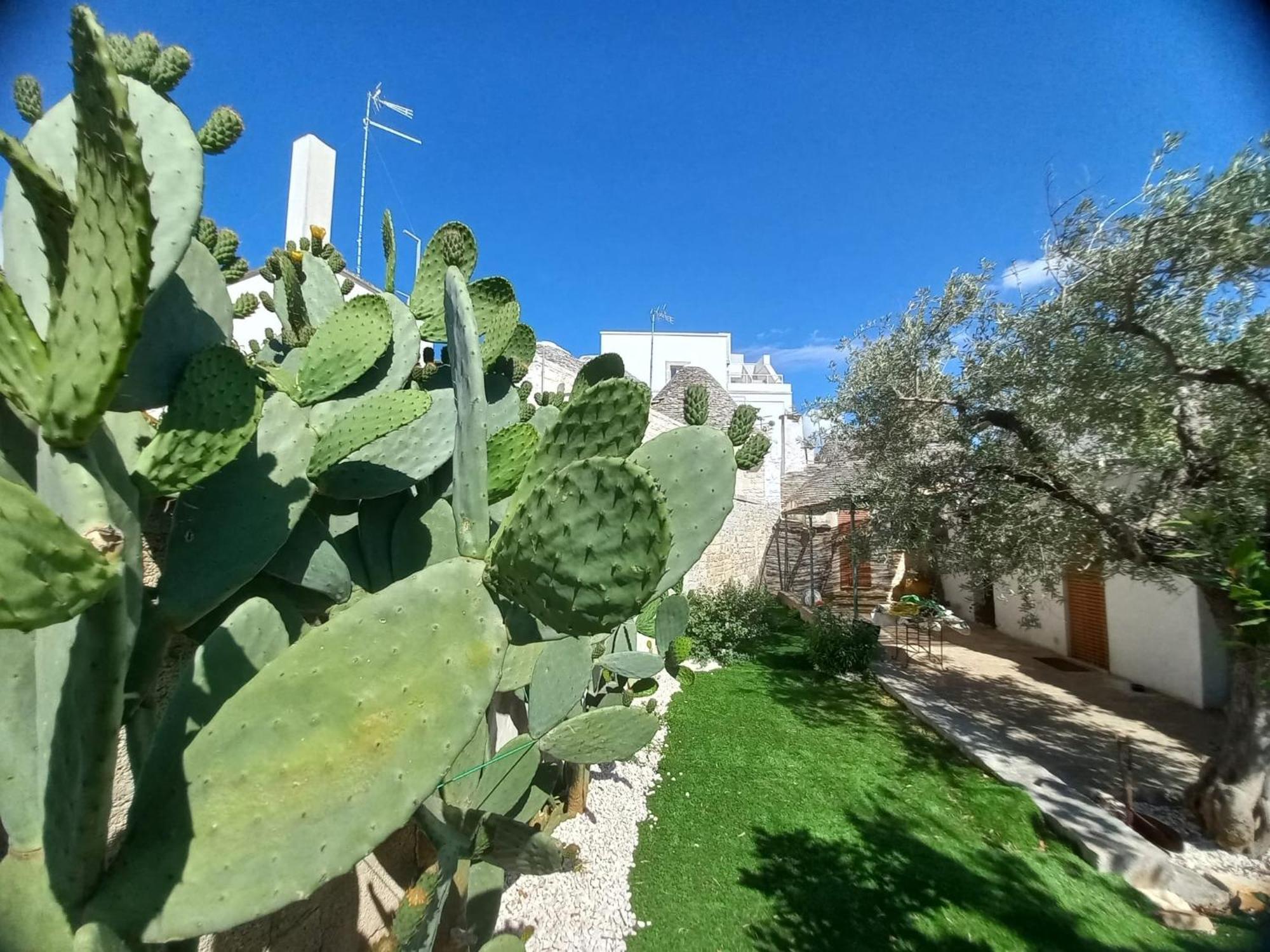 Trullo Vacanza Αλμπερομπέλο Δωμάτιο φωτογραφία